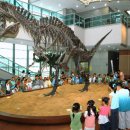 서대문자연사박물관 이미지