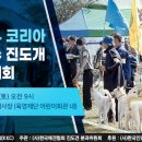 2024년 코리아 최우수 진도개 선발대회(11/30) 이미지