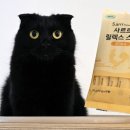 릴렉스용품 | 다이소 고양이 추천 간식 사르르 릴렉스 스틱 내돈내산 후기 기호성 좋은 고양이 츄르