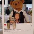 댕댕이꼬양 | 리빙 가이드 쇼핑몰, 기흥 리빙파워센터