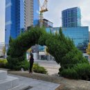 구포일심요양병원 이미지