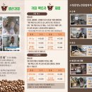 커피 팩토리 봄 이미지