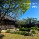 한옥마을주유소 | 전주 한옥마을 족욕 카페 동락원 솔직 후기
