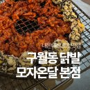 온달 | 구월동 닭발 꼼장어 모자온달 본점 후기 총정리 + 꿀팁