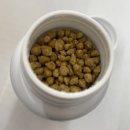 더드림메디 이미지