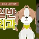 스위스동물병원 이미지