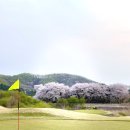 원클럽 골프연습장 이미지