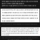 박지현, 추적단 불꽃, n번방 잘 모르면 꼭 봐줬으면 하는 짧은 정리글 이미지