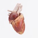 장생한의원 이미지