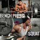 SP복싱무브먼트 이미지