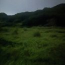 무주반딧불장터 공중화장실 | 무주반딧불출제 비오는 날 신비탐사 후기