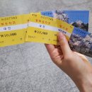 삼선 선녀축제(미정) | 대둔산 등산후기/등산초보 등린이 솔직 후기 / 케이블카 등산경로