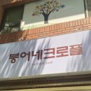 붕어네크로플
