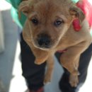 웅상대로 이미지