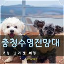 갈현근린공원 공중화장실 | 보령 애견동반 여행 강아지와 가볼만한곳 충청수영해안경관전망대