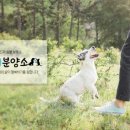 하이바이 동물위탁센터 대구점 이미지