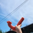 안내초등학교 | 안내면에서 열린 15회 향수 옥천 옥수수 감자 축제 다녀왔어요