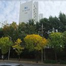 월성보성타운1단지아파트 이미지