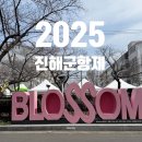 지에스(GS)25 진해벚꽃로망스점 | 진해 벚꽃 개화시기 2025 실시간 기본정보 축제 개막