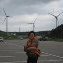 전나무목장 이미지