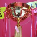 탑(TOP)태권도 체육관 이미지