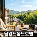 알몽드 | 담양 드몽드호텔 숙박 후기와 디지털 관광주민증 혜택 정리