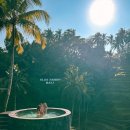 논밭에 | 발리 여행🌿 우붓 크레트야 오픈런 후기, 티스 카페, 뜨랑갈랑 논밭뷰 수영장 비교!