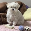 [2월] 다이어트 유지중. -30kg ..?계속 빠지네