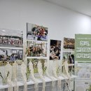 순심여자고등학교 | [칠곡군구미상주안동포항경주경산공방]수경 식물 행잉 만들기-초록 빛 수업 이야기[칠곡커]