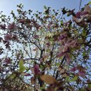 압구정연한의원 이미지