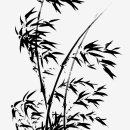 풍죽 이미지