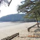 솔향기길1코스(당봉) 이미지