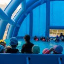 석성초등학교 이미지