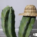 신목농장 이미지