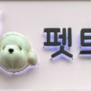 펫트리멍 네이버블로그