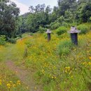 율곡천 2 이미지