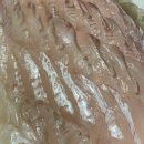 벌집삼겹살하남점 이미지