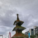 삼척해수욕장 이미지