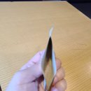 롯데리아 대구서부정류장점 네이버블로그