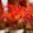 김포시 산림조합