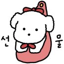 하이뮤직 이미지