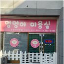 핑크퍼피 이미지