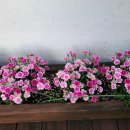 전주펜션 이미지