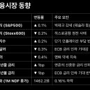 금융재테크 이미지