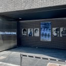 나나로그 성수 | 성수동미용실 나나로그 성수플래그십 라니 디자이너 염색후기