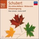 슈베르트, 겨울 나그네 (Schubert - Die Winterreise D 911) / 문학수 이미지