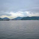 마전교 - 정선군 | 마전교