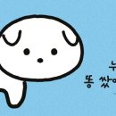 입면초등학교 이미지