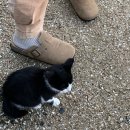 스테이 일목 | 템플스테이에서 동물과 자연을 느끼다 [ 단양 미륵대흥사 ]