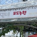 병권네포도농원